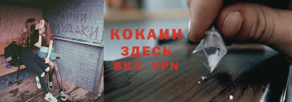 прущие грибы Алексин